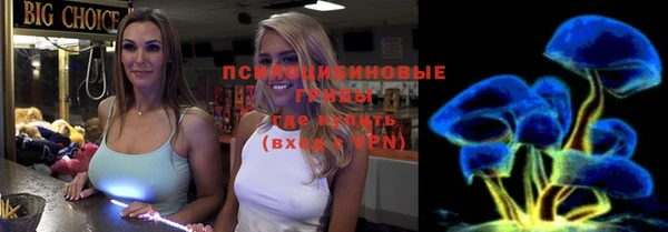 стаф Беломорск