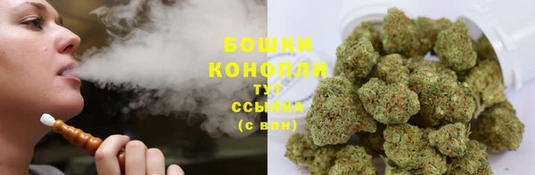 бошки Белокуриха