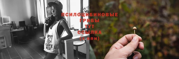 бошки Белокуриха