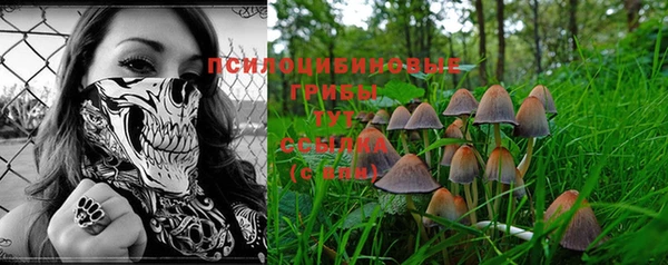 дживик Белоозёрский