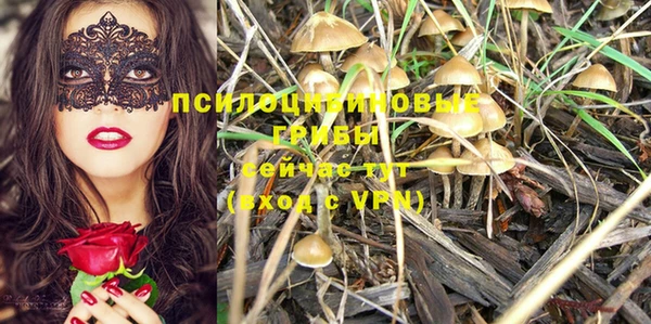 стаф Беломорск