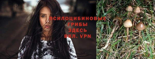 дживик Белоозёрский