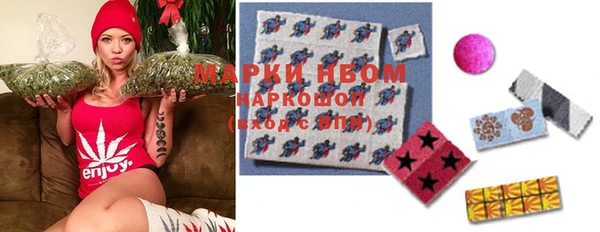 бошки Белокуриха
