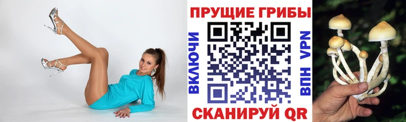 Галлюциногенные грибы мицелий  где можно купить наркотик  MEGA вход  Задонск 
